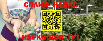 молекула духа Новозыбков