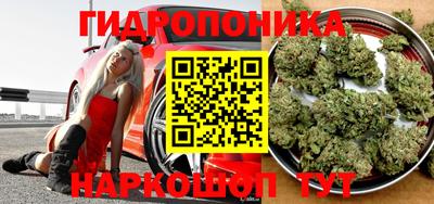 сатива Новодвинск