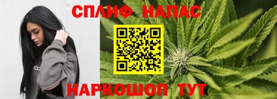 молекула духа Новозыбков